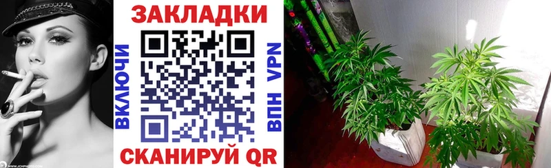 Купить наркотики сайты Ессентуки Псилоцибиновые грибы  Меф  Гашиш  Cocaine 