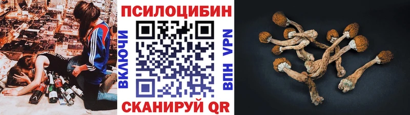 Галлюциногенные грибы мицелий  Ессентуки 